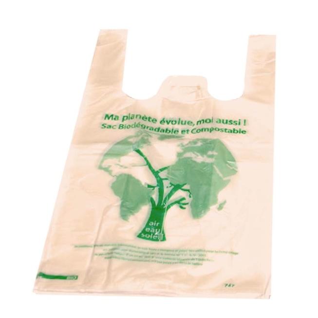 Sac plastique écologique et certifié compostable, un choix bénéfique e  COLIS DE 1000 DIM. CM 26 + 12 x 45 DESIGNATION Sacs bretelles Biodegradable  Home Compost 26 x 12 x 45 cm