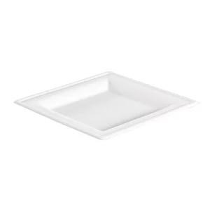 Assiette carré