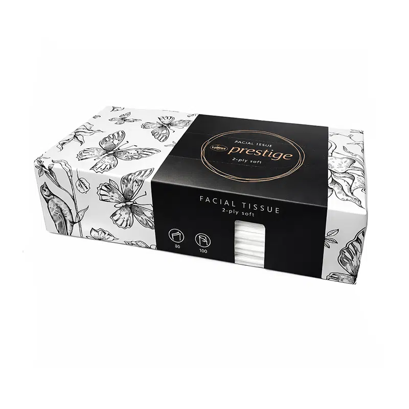 Scatola di fazzoletti bianchi a 2 veli Ecolabel da 100