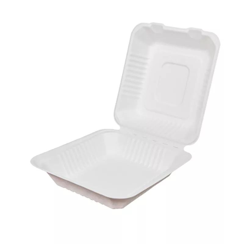 50 biodegradable boxes 230 x 230 x 80 mm