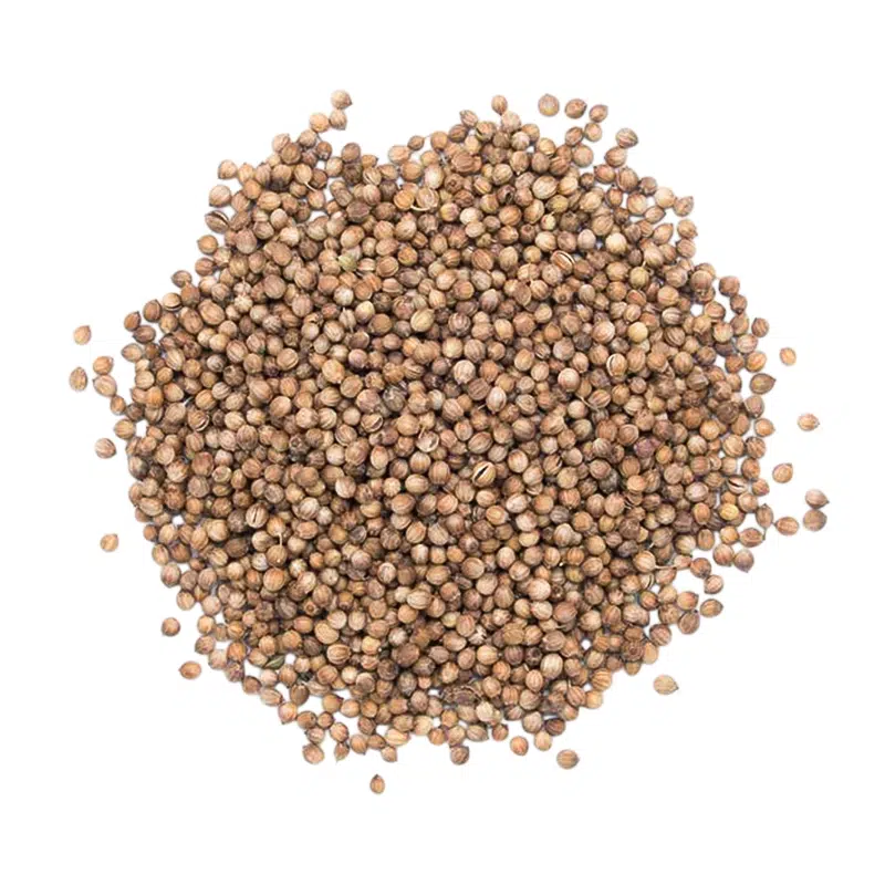 Sementes de coentros 1kg