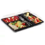 25 plateaux repas à emporter 5 compartiments luxe