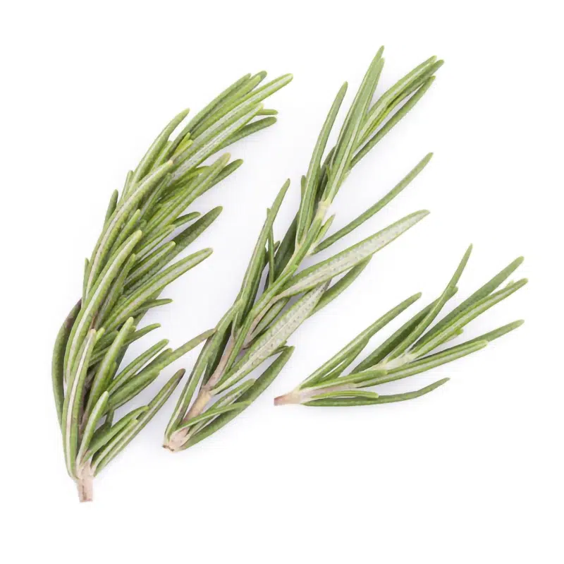 Rosemary cut leaves 1 kg