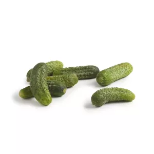 Boîtes 5/1 de Cornichons au Vinaigre
