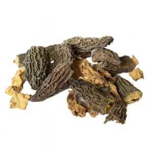 Morilles sauvages