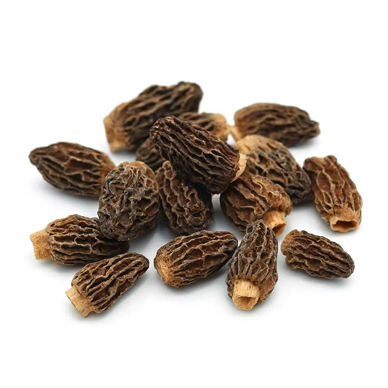 Morcelas selvagens especiais B 500 Gr em frasco PET
