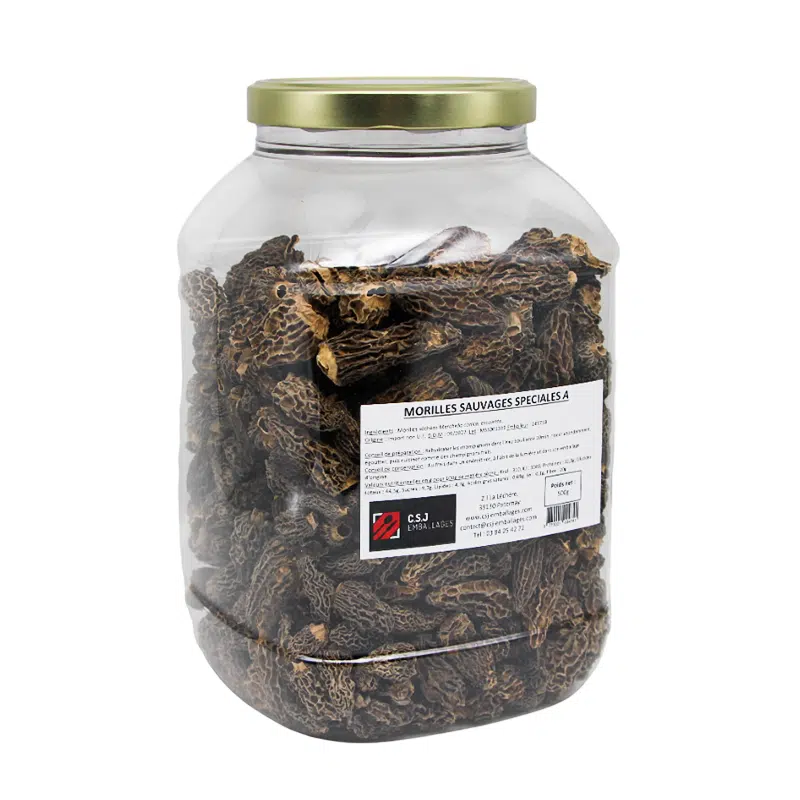 morilles sans queue