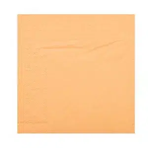 Serviette saumon